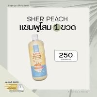 ราคา SherPeach แชมพูโสมเกาหลี ดีท็อกซ์หนังศรีษะ ลดรังแค ลดผมร่วงเร่วผมยาว เงางาม มีน้ำหนัก (19666506409)
