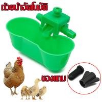 ราคา นิปเปิ้ลให้น้ำไก่ ถ้วยให้น้ำไก่อัตโนมัติ ถ้วยให้น้ำนก ถ้วยคู่ ใช้ในฟาร์มไก่ ไก่ชน นกกระทา (18180376662)