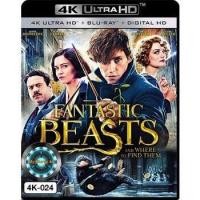 ราคา 4K UHD หนัง Fantastic Beasts and Where to Find Them สัตว์มหัศจรรย์และถิ่นที่อย (16605407360)