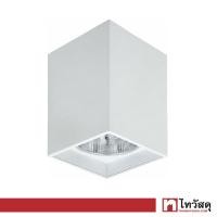 ราคา โคมดาวน์ไลท์หน้าเหลี่ยมติดลอย 6 นิ้ว 1xE27 LUZINO รุ่น MZF601 WH สีขาว (16616949571)