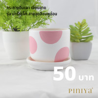 ราคา Piniya กระถาง กระถางต้นไม้ กระถางแคคตัส กระถางเซรามิก ต้นไม้ แคคตัส เซรามิค รุ่น น่ารักเล็ก ลายจุดสีชมพูอ่อน (585734335)