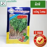 ราคา เมล็ดพันธุ์ ผักชี พันธุ์3A 1 ซอง เมล็ดพันธุ์ผักเพื่อสุขภาพ เมล็ดพันธุ์คุณภาพ เมล็ดพันธุ์ตราสามเอ (9246068105)