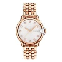 ราคา Coach Arden CO14503820 นาฬิกาผู้หญิง (14853966611)