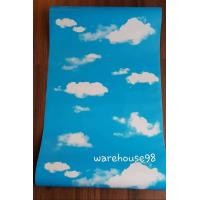 ราคา วอลเปเปอร์สติ๊กเกอร์ลายท้องฟ้า C021 (35)