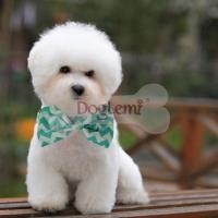 ราคา สายจูงสุนัข สายจูงน้องหมาน้องแมว ปลอกคอ+สายจูงสุนัข สีเขียวมิ้น (470)