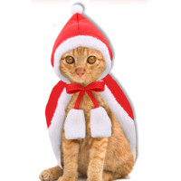 ราคา เสื้อแมว ชุดคลุมสำหรับสัตว์เลี้ยง วันคริสมาส ไซต์ L (5431)