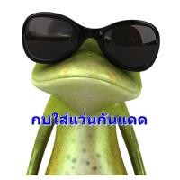 ราคา สติ๊กเกอร์กบ 3D สติ๊กเกอร์กบใส่แว่นกันแดด (211)
