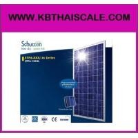 ราคา แผงโซล่าเซลล์ Schutten Solar Cell Poly crystalline module 315W มาตราฐาน TUV IEC CE แผงโซล่าเซลล์อายุการใช้งานนาน 25ปี (233)