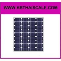 ราคา โซล่าเซลล์ 50W 18V Mono (365)