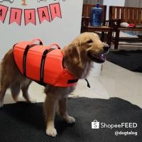 ราคา เสื้อชูชีพสุนัข Dogtalog เบอร์ XXL (2362)