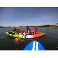 ราคา เสื้อชูชีพสุนัข Dogtalog เบอร์ XL (2366)