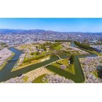 ราคา ทัวร์ญี่ปุ่น ฮอกไกโด ชมซากุระ คลองโอตารุ หุบเขานรกจิโกกุดานิ ป้อมโกเรียวคาคุ สายการบิน Air Asia X แอร์เอเชียเอ๊กซ์ (TTC249830)