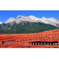 ราคา ทัวร์จีน คุนหมิง ตาหลี่ ลี่เจียง แชงกรีล่า ภูเขาหิมะมังกรหยก ช่องแคบเสือกระโจน ชมโชว์จางอี้โหม่ว สายการบิน China Eastern Airlines ไชน่า อีสเทิร์น แอร์ไลน์ (TTC2410323)