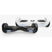 ราคา MONOWHEEL DUO