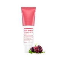 ราคา A'PIEU - Mulberry Blemish Clearing Cream 50ml (1078792329)