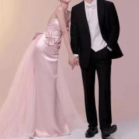 ราคา Plain Bow Panel Mesh Trumpet Tube Evening Gown (1129036496)