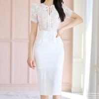 ราคา Short-Sleeve V-Neck Plain Lace Panel Midi Sheath Dress (1129321117)