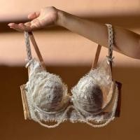 ราคา Plain Lace Panel Bra / Bikini Panties / Set (1129668614)