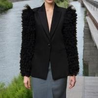ราคา Plain Ruffle Mesh Panel Single-Button Blazer (1130080306)