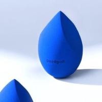 ราคา Puremantis - Makeup Blender Beauty Sponge (1130117231)