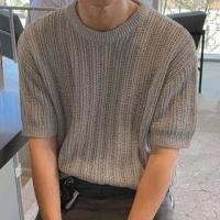 ราคา Elbow-Sleeve Crew Neck Plain Perforated Knit Top (1130302458)