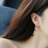 ราคา Stainless Steel Clover Drop Earring (1075011296)