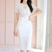 ราคา Short-Sleeve Bow Lace Panel Sheath Dress (1130128717)