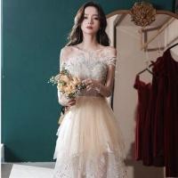 ราคา Feather Trim Beaded Glitter Panel Mesh A-Line Tube Evening Gown (1124074020)
