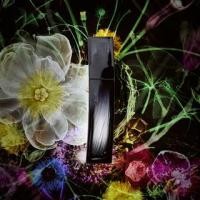 ราคา POLA - B.A Lotion Immerse (1131028531)