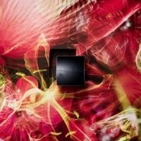 ราคา POLA - B.A Cream (1131043539)