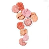 ราคา Clinique - Cheek Pop Blush (1131141249)