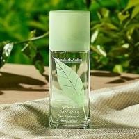 ราคา Elizabeth Arden - Green Tea Scent Spray Eau Parfume 50ml (1131980075)