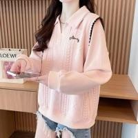 ราคา Collared Lettering Embroidered Contrast Trim Sweatshirt (1132052729)