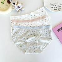 ราคา Floral Bow Lace Trim Panty / Set (1132509789)