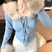 ราคา Fluffy Trim V-Neck Tie Front Cropped Knit Top (1132826165)