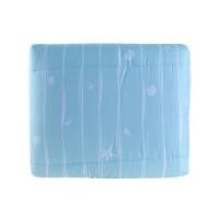 ราคา ชุดผ้าปูที่นอน ขนาด 6 ฟุต พร้อมผ้านวม 90x100 ลายริ้ว สีเขียวมินต์ (10340153)