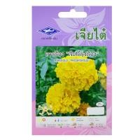 ราคา เจียไต๋ เมล็ดพันธุ์ดอกดาวเรือง สีเหลือง (10043028)