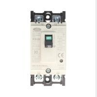 ราคา CEO เมนเบรกเกอร์ 2P 30A รุ่น NF30-CW (10095765)