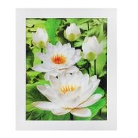 ราคา กรอบรูปไม้ ขนาด 16x20 นิ้ว รุ่น 1 รูปบัว (10119933)
