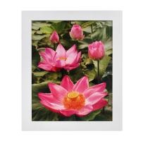 ราคา กรอบรูปไม้ ขนาด 16x20 นิ้ว รุ่น 2 รูปบัวสีชมพู (10119936)