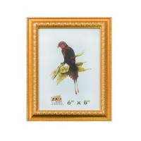 ราคา DECOS กรอบรูปกระดุม ขนาด 6x8 นิ้ว รุ่น 1101 สีทอง (10159505)