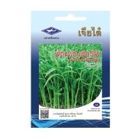 ราคา เจียไต๋ เมล็ดพันธุ์ผักบุ้งเรียวไผ่ ซองจัมโบ้ (10263748)