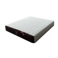 ราคา SANTASIA ที่นอนพ็อกเก็ตสปริง 6 ฟุต x 10 นิ้ว รุ่น KRISTIN สีขาว (10278800)
