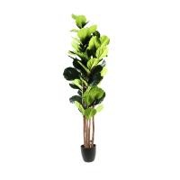 ราคา DECOS ต้นไม้เทียม ไทรใบสัก 1.80 ม. รุ่น NAL19-0042A ใบสีเขียว (10336341)