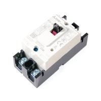 ราคา MITSUBISHI เบรกเกอร์ 2P 30A รุ่น NF30-CS (10362103)