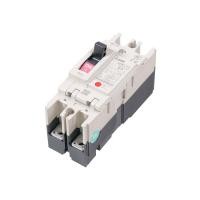 ราคา MITSUBISHI เบรกเกอร์ 2P 63A รุ่น NF63-CV (10362108)