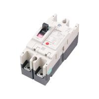 ราคา MITSUBISHI เบรกเกอร์ 2P 100A รุ่น NF125-CV (10362114)