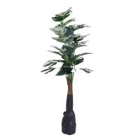 ราคา DECOS ต้นไม้เทียม มอนสเตอร่าด่าง 70 ซม. รุ่น DMA220712-1 ใบสีขาวเขียว (10387902)