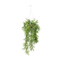 ราคา DECOS กระเช้าแขวน เฟิร์นเขากวาง 30x60 ซม. ใบสีเขียว (10391264)