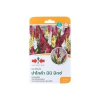 ราคา ศรแดง เมล็ดพันธุ์ ดอกสร้อยไก่ ปาโกด้า มินิ มิกซ์ (10402621)